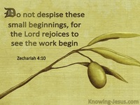 Small Things